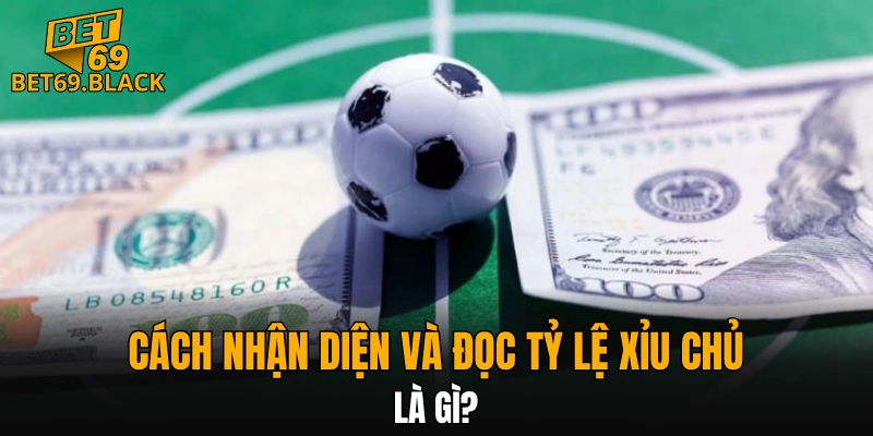 Cách nhận diện và đọc tỷ lệ xỉu chủ là gì? 
