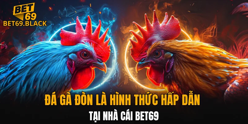 Đá gà đòn là hình thức hấp dẫn tại nhà cái BET69
