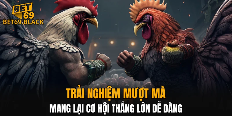 Đá gà đòn là hình thức hấp dẫn tại nhà cái BET69